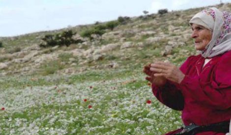 الفلسطينيات يقدمن أبناءهن  في طريق التحرر الفلسطيني
