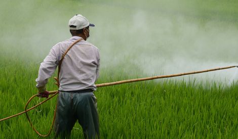 بيئة: المبيدات الزراعية وقاية أم ضرر؟