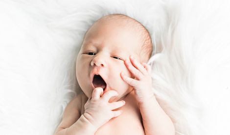الصحة والحياة: صحة طفلك في الرضاعة الطبيعية