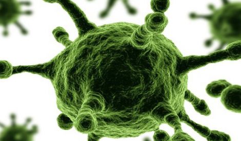 الصحة والحياة: الأنفلونزا