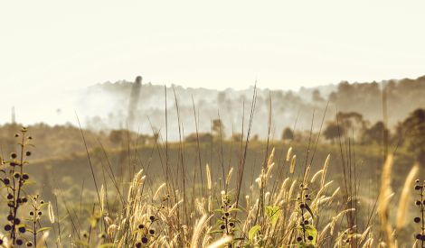 تظهر الخيرات بظهوره عجل الله تعالى فرجه الشريف