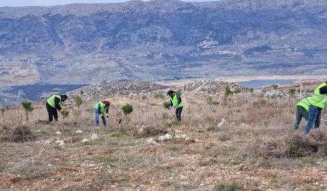 بيئة | البقاع يتصحّر.. فهل من مبادرات؟ (1)