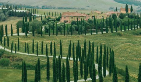 البقاع يتصحّر.. فهل من مبادرات؟(2)